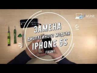 Замена дисплейного модуля и передней камеры на iPhone 5s