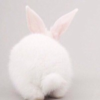 Катерина Толопченко