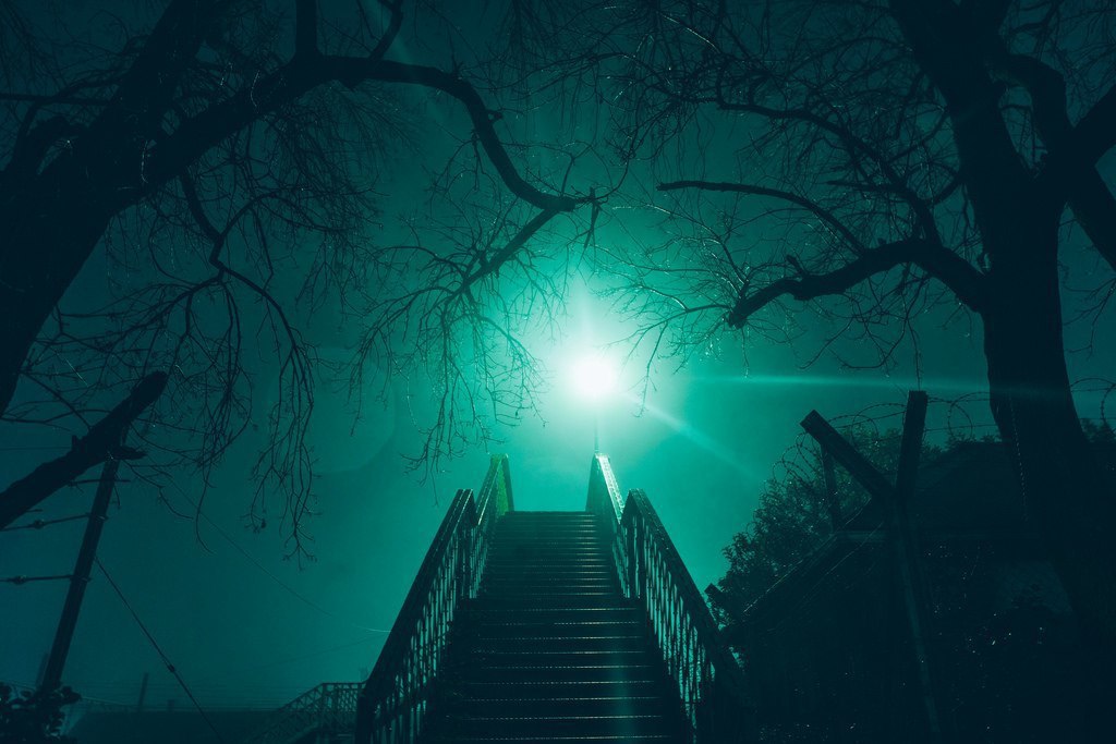 https://pp.userapi.com/c639725/v639725155/541a7/VDBBJhKp-ao.jpg