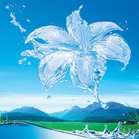 Светлана Островская | Минск