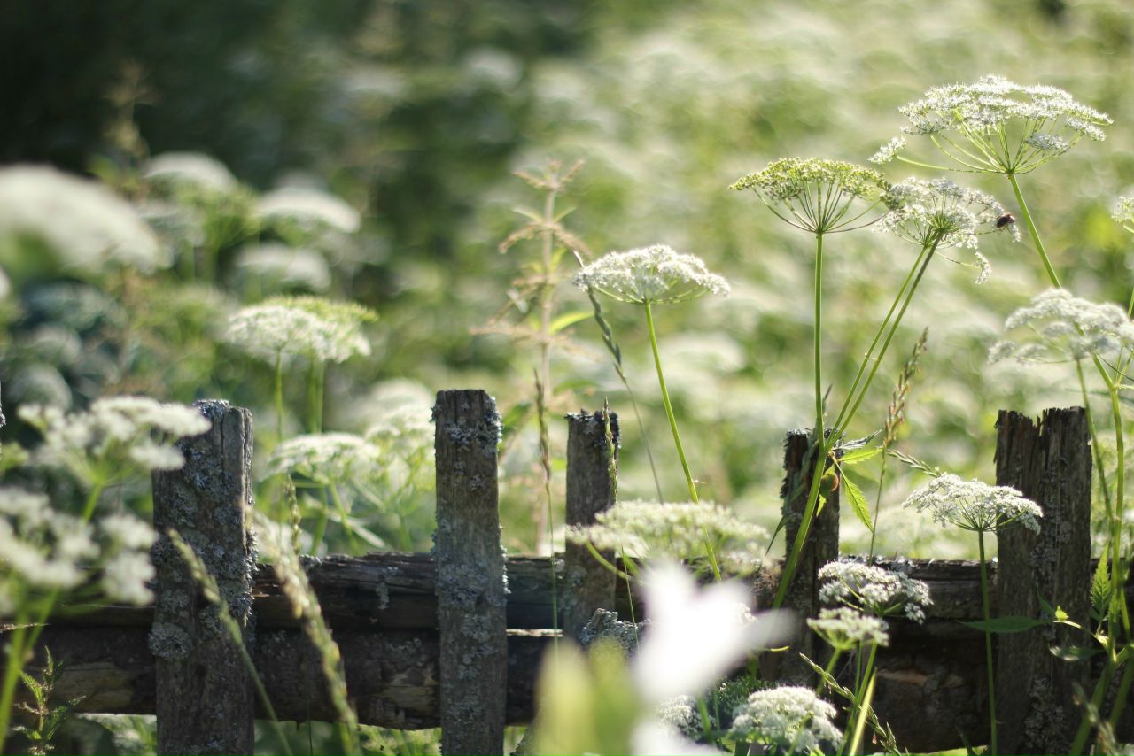 73AYWwvY8kU.jpg