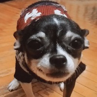 Александр Сергеев