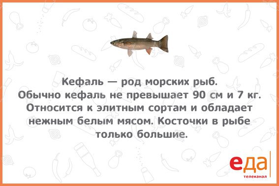 #больше_знаешь_вкуснее_ешь