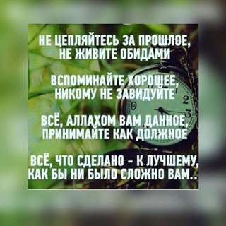 Приколы с котами - котосовы. Такого вы ещё не 13 Приколы с котами - котосовы. Такого вы ещё не 73