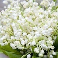 Александра Нефедова | Харовск
