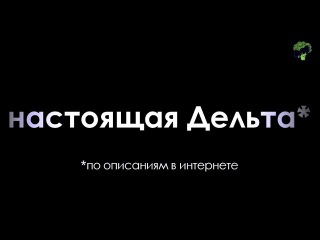Настоящая Дельта: СЛИ