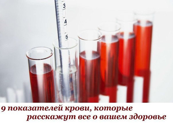 9 показателей крови, которые расскажут все о вашем здоровье 