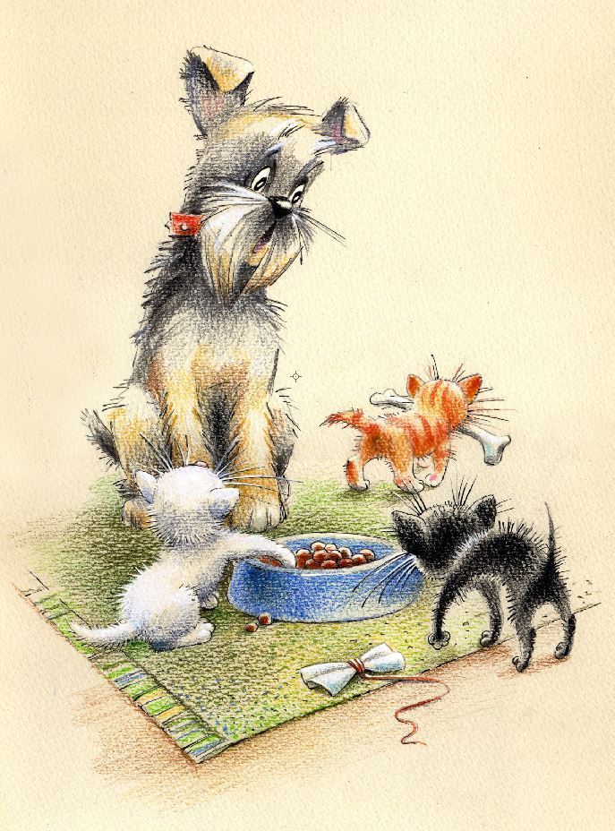 Кошки в нашей жизни. Кошки и все, что с ними связано.