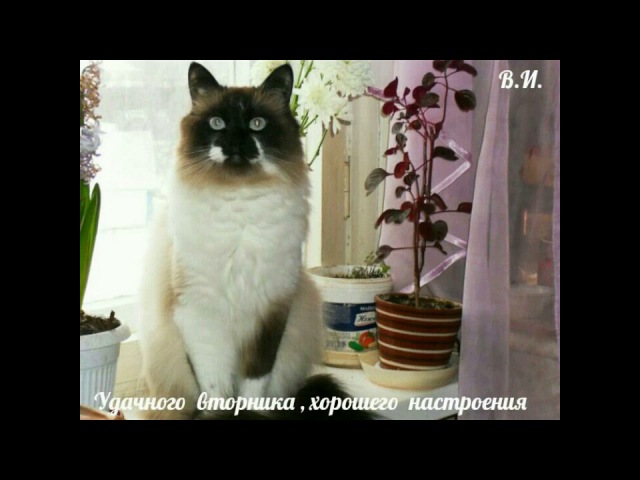 Замечательного вторника,!