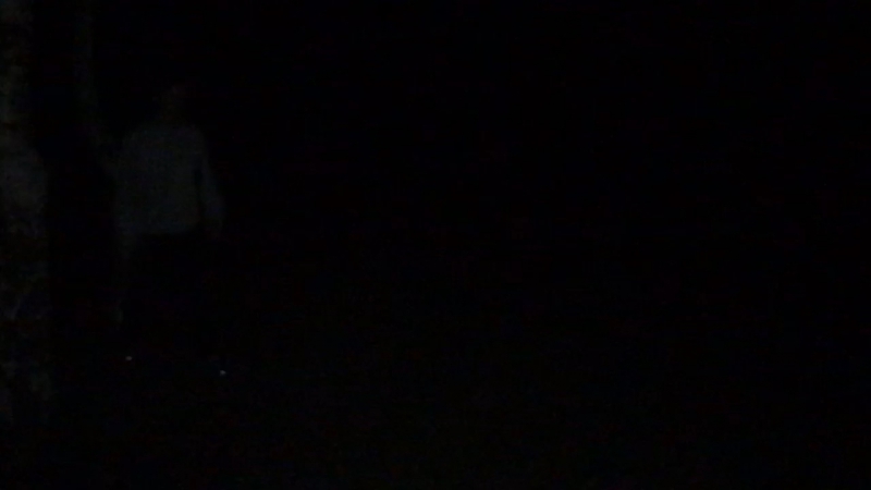 Вулик