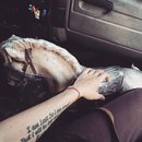 Объявление от Анна - фото №1