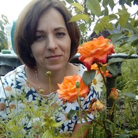 Елена Ремизова | Выкса