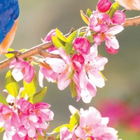 Екатерина Пасечник-Яценко  smile