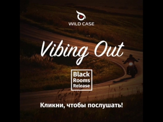 Wild Case Sound Production - Vibing Out (shop.wild-case.com)