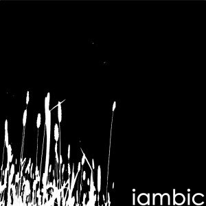 Iambic²