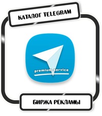 Новости москва 24 происшествия видео
