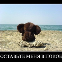 Виктория Задера