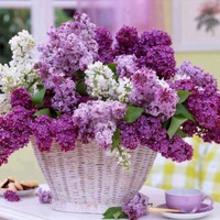 Оля Нестерова | Воркута