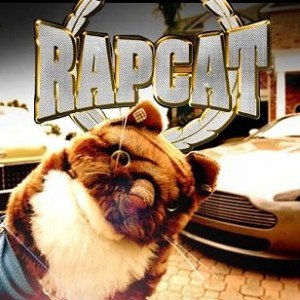 Rap Cat