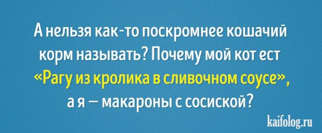 А нельзя поскромнее кошачий корм называть? А нельзя поскромнее кошачий корм называть?