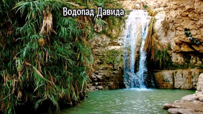 Эйн Геди