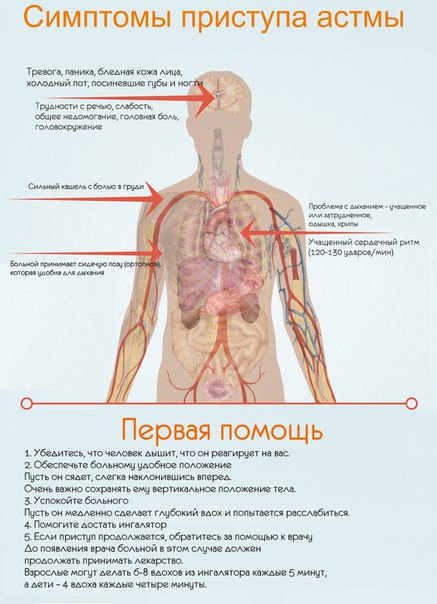 ПРИСТУП АСТМЫ. ЧТО ДЕЛАТЬ 
