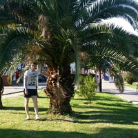 Владимир Моисеев