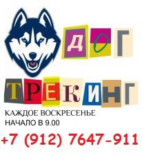 Афиша Ижевск Лесные прогулки с ХАСКИ / Дог-трекинг в Ижевске