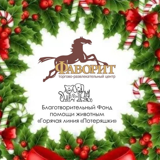 Афиша Тюмень Потеряшки в "Фаворите" 23 декабря 2017 г.