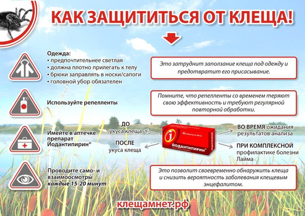 Планируете отпуск на бескрайних просторах нашей страны Тогда запоминайте и сохраняйте себе на стену. Эта информация пригодится Вам в ближайшие месяцы. 