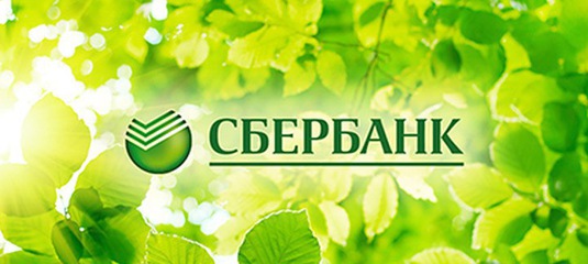 Acca Учебник F7 Каплан