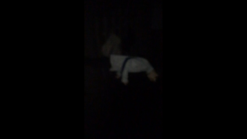 вулик