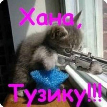rKH9_bQvb6M.jpg