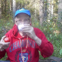 Владимир Булдаков |