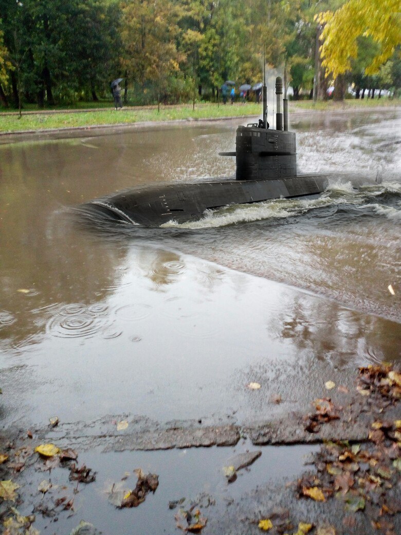 В огромных лужах Гатчины после дождя появились подлодки и рыбаки