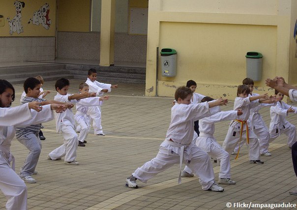Focus: в немецких спортшколах действуют 