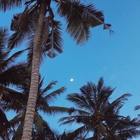 Лейсан Магданова