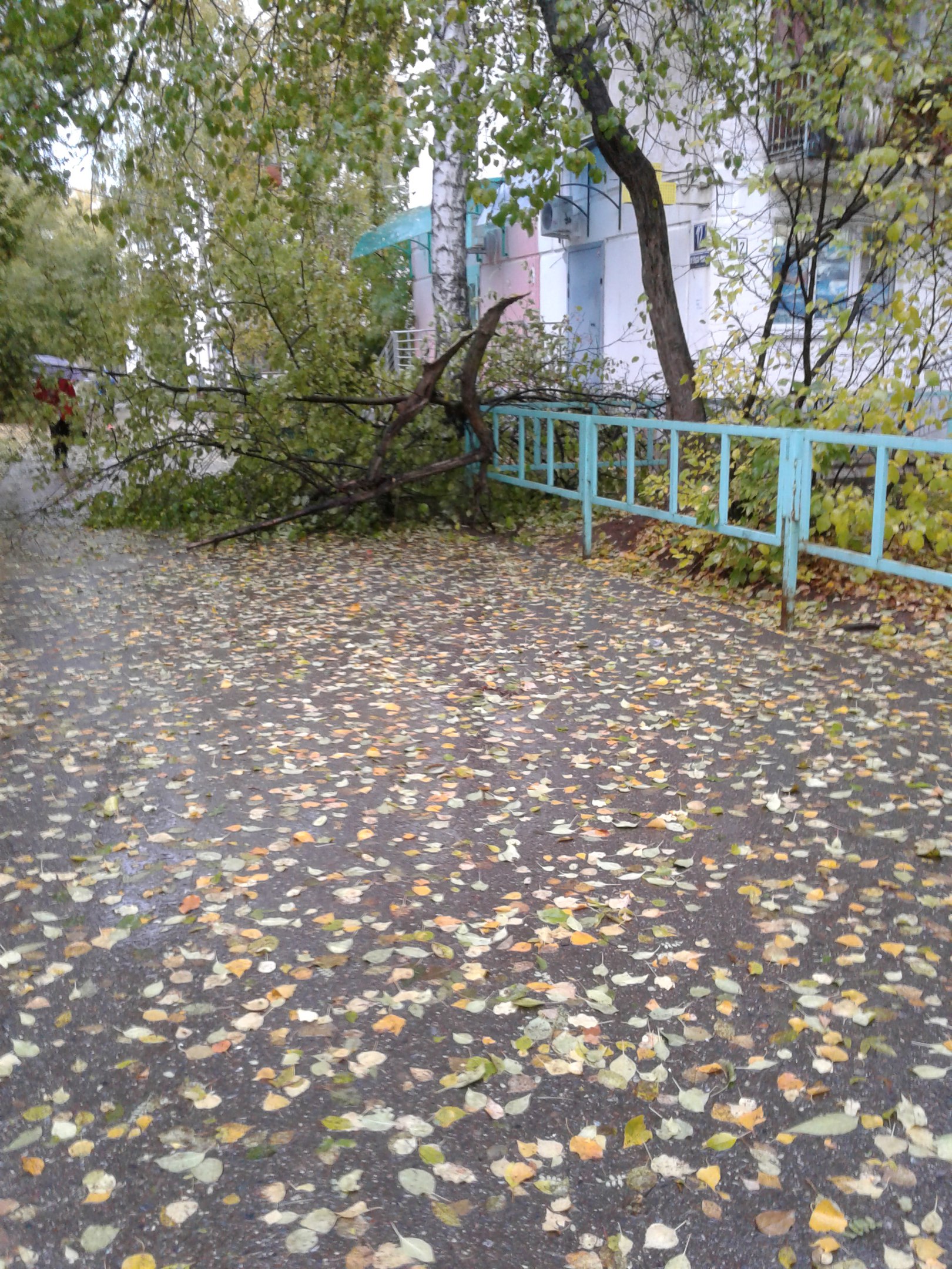 ураган, Чайковский, 2017 год