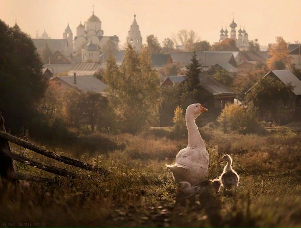 Город Суздаль, Россия