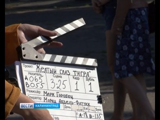 Съёмки сериала Жёлтый глаз тигра