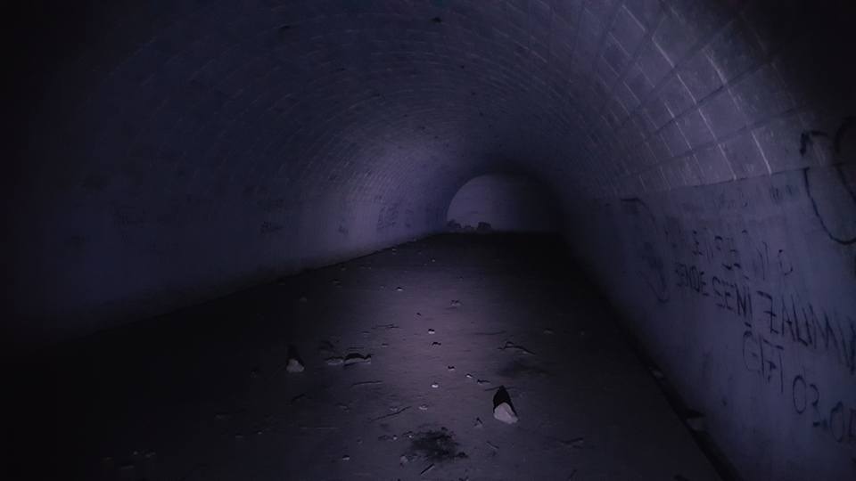 https://pp.userapi.com/c639921/v639921426/5d939/DPLZfAjxT3A.jpg