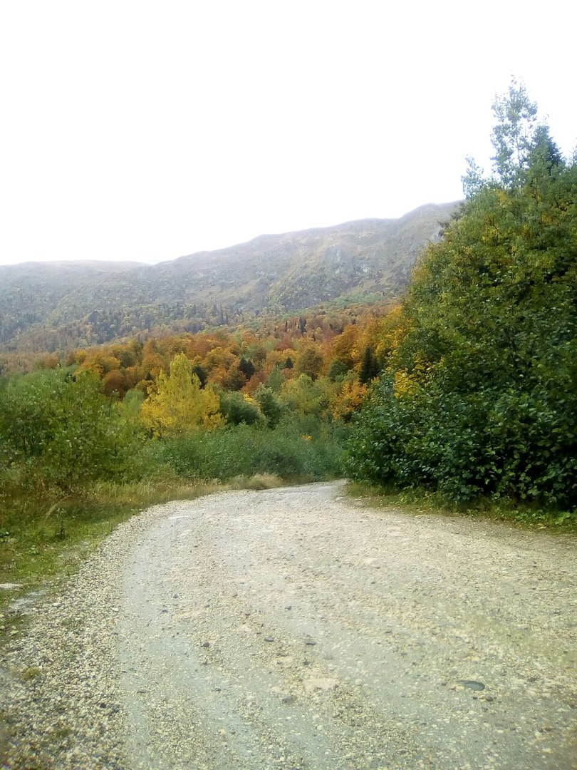 https://pp.userapi.com/c639921/v639921990/58978/cYsp4HA942c.jpg