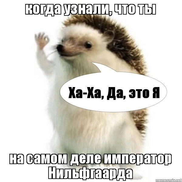 https://pp.userapi.com/c639922/v639922632/d6d7/Y8Vh0sefSEc.jpg