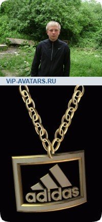 Артем Шубин