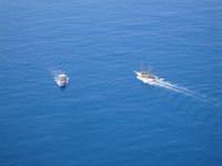 Анна Макарова