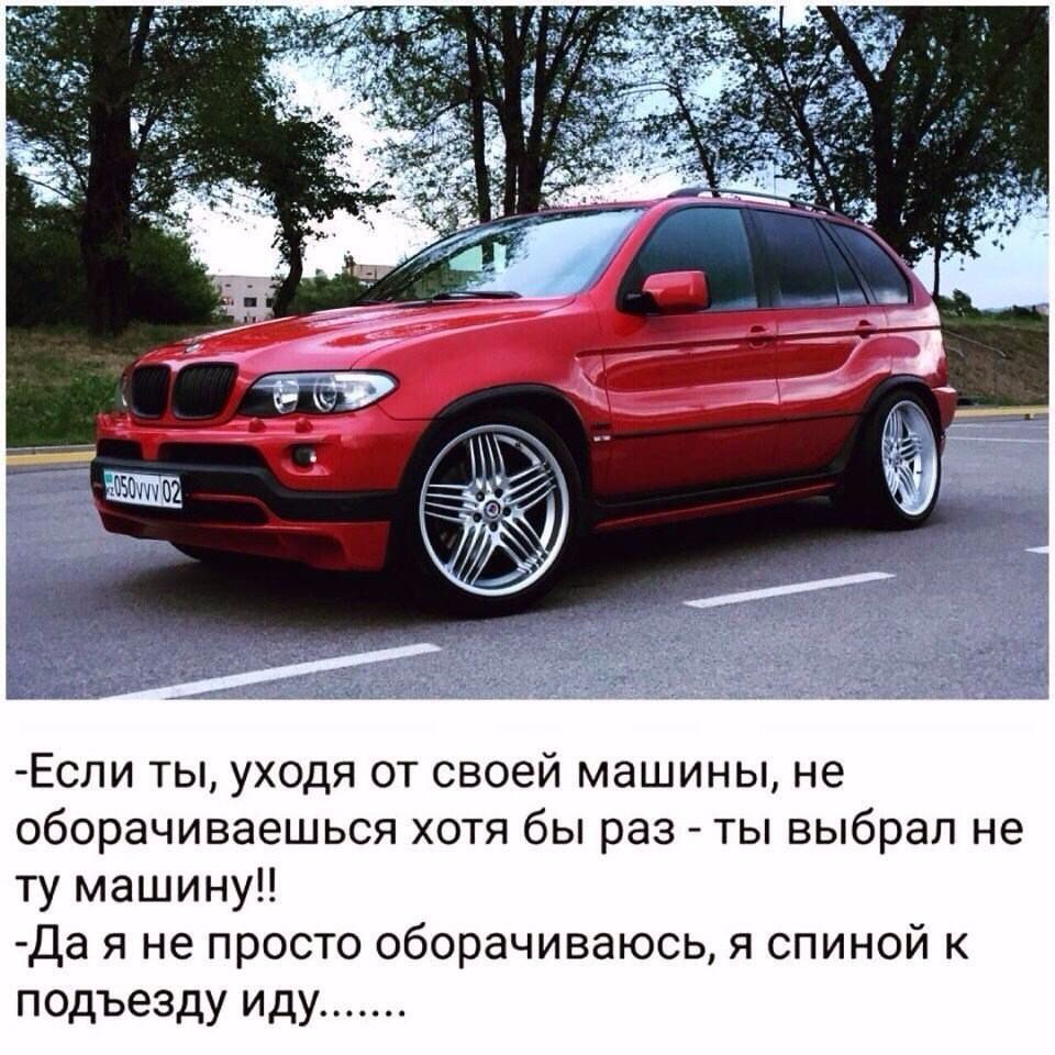 uhmrSM5UX68.jpg