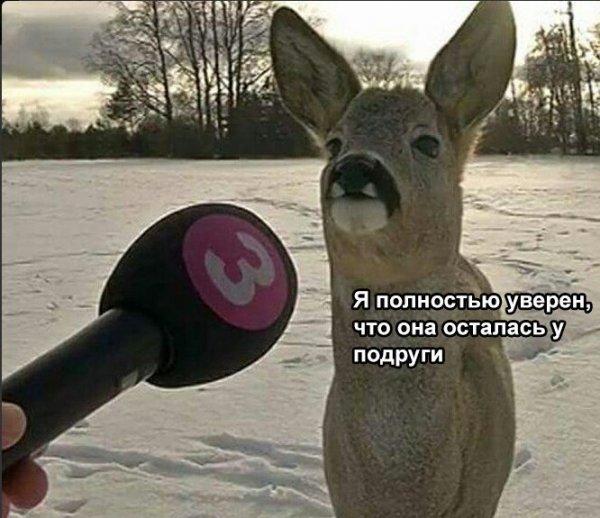xcxekqMck78.jpg
