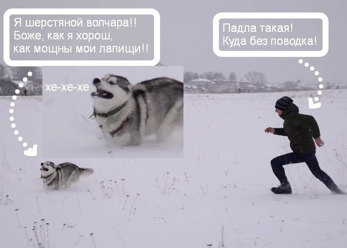 iT8cFadSRsI.jpg