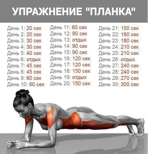 Планка - настоящее спасение для тех, у кого мало времени на занятия спортом