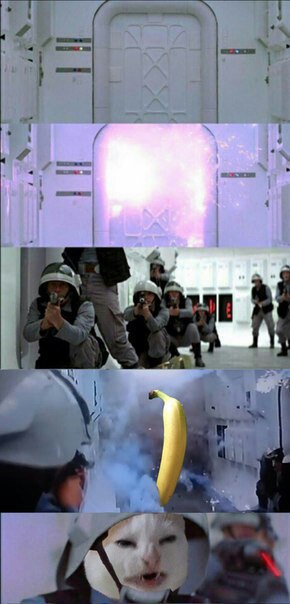 qOlM-HVfVMA.jpg